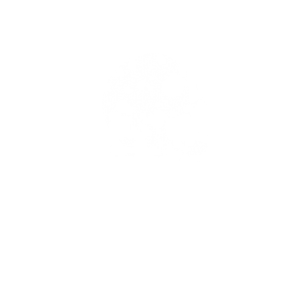 Koszulka Geometric Skull