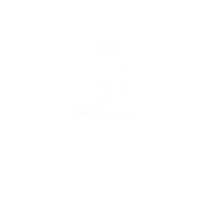 Koszulka Keep calm and slide to unlock