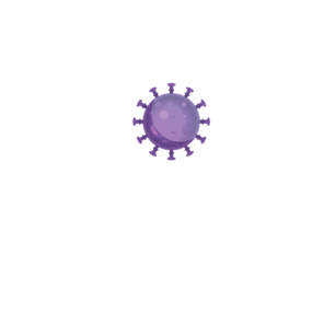 Surviver 2020